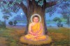 45 MÙA AN CƯ CỦA ĐỨC PHẬT - spunno