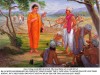 Cuộc đời Đức Phật Thích Ca TC053T01 :  Bà-la-môn Kasi Bhàradvàja và bài kinh Cày Ruộng  (S.i,172)