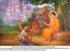 CUỘC ĐỜI ĐỨC PHẬT THÍCH CA TC072T02: BÀ-LA-MÔN MAHĀSĀLA VÀ LŨ CON BẤT HIẾU