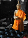 Y bát của Đức Phật - Thích Đồng Thành