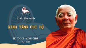 Tăng chi bộ Nikaya P064 - Chương Mười Pháp – Phẩm 11 đến phẩm 17