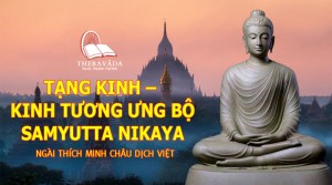 Tương Ưng bộ .TU051 - Tập IV- Chương Sáu – Tương Ưng Moggalāna
