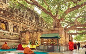 Bodh Gaya ( Bồ Đề Đạo Tràng )