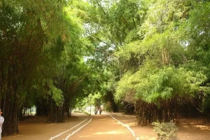 Thành Vương Xá 1