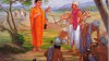 Bà la môn Kasībhāradvāja – Tu hành là cày ruộng công đức ( KINH KASĪBHĀRADVĀJA )
