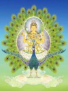 Đức Khổng Tước Minh Vương ( Kim Cương Thừa )