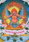Đức Kim Sí Điểu – Garuda ( Kim Cương Thừa ) 1