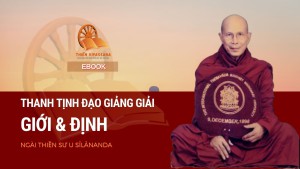 THANH TỊNH ĐẠO GIẢNG GIẢI -( Tác giả: Venerable Sayadaw U Sīlānanda  Biên dịch: Pháp Triều)